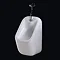 RAK - Series 600 Urinal with Brackets - S600URCT Large Image