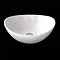 RAK Shell Sit On Vanity Basin - No TH - SHELBAS Large Image