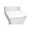 RAK Summit Soft Close Wrap Over Urea Toilet Seat Large Image