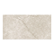 RAK Warwick Beige Matt Wall Tiles 300 x 600mm