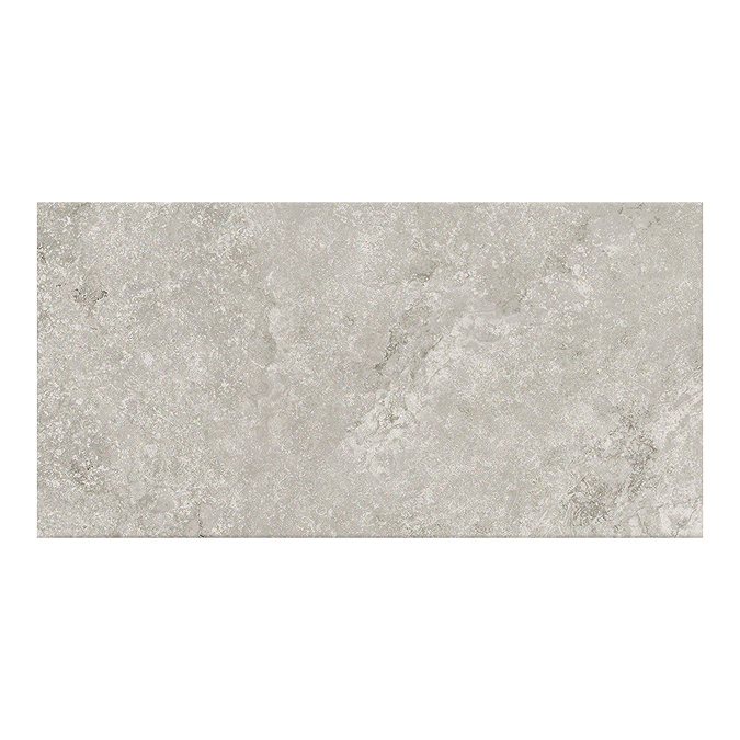 RAK Warwick Grey Matt Wall Tiles 300 x 600mm