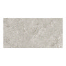 RAK Warwick Grey Matt Wall Tiles 300 x 600mm