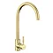 Rangemaster Aquatrend Single Lever Kitchen Mixer Tap - Brushed Brass Large Image