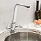 Reginox Alpina Dual Lever Kitchen Mixer Tap - Chrome Profile Large Image