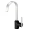 Reginox Amur Single Lever Kitchen Mixer Tap - Chrome & Black Large Image