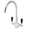 Reginox Brooklyn Traditional Kitchen Mixer w/ Black Levers - BROOKLYN Large Image