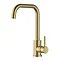 Reginox Salina Single Lever Kitchen Mixer Tap - Gold Large Image