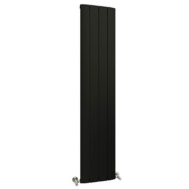 Reina Aleo Vertical Aluminium Radiator - Black Profile Large Image