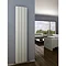 Reina Aleo Vertical Aluminium Radiator - White Profile Large Image