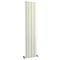 Reina Aleo Vertical Aluminium Radiator - White Large Image