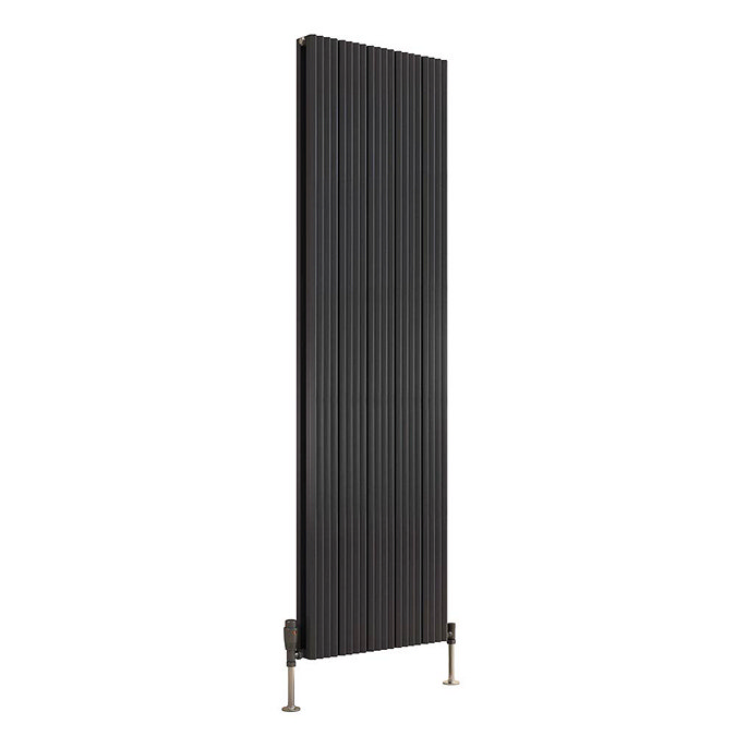 Reina Andes Vertical Double Panel Aluminium Radiator - Anthracite  Feature Large Image