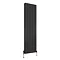 Reina Andes Vertical Double Panel Aluminium Radiator - Anthracite Feature Large Image