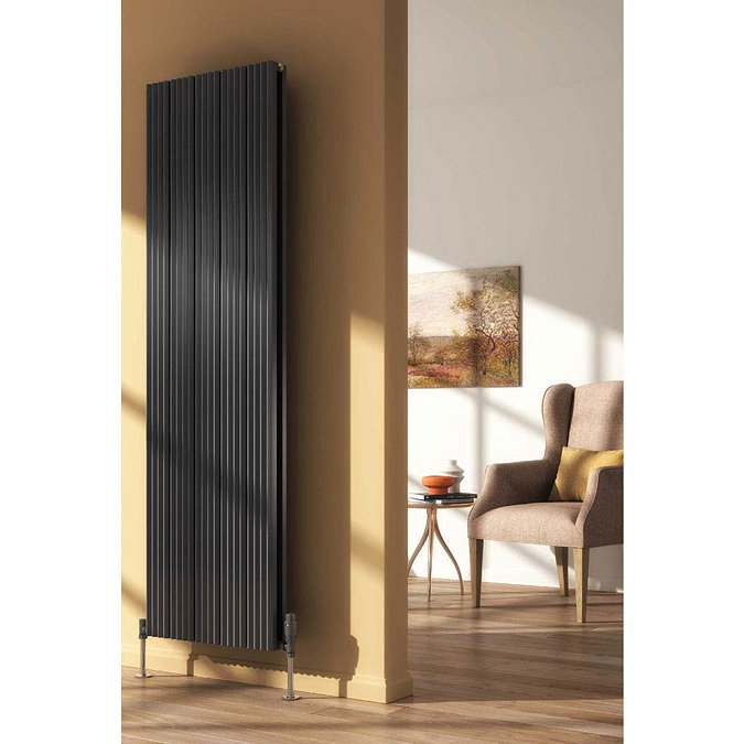 Reina Andes Vertical Double Panel Aluminium Radiator - Anthracite Large Image