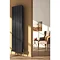 Reina Andes Vertical Double Panel Aluminium Radiator - Anthracite Large Image