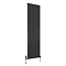 Reina Andes Vertical Single Panel Aluminium Radiator - Anthracite Large Image