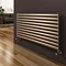 Reina Artena Single Panel Stainless Steel Radiator - Satin Large Image