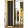 Reina Bonera Vertical Steel Designer Radiator - Anthracite Profile Large Image