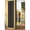 Reina Bonera Vertical Steel Designer Radiator - Black Profile Large Image