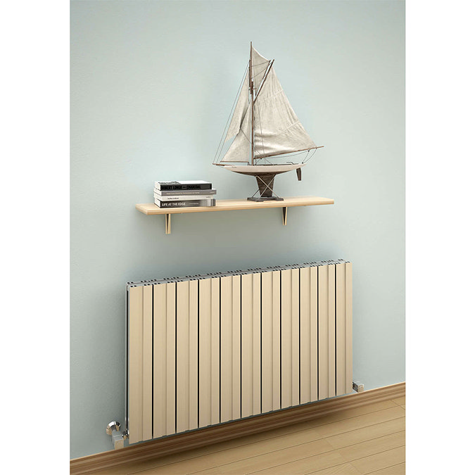 Reina Bova Horizontal Double Panel Aluminium Radiator - Polished Profile Large Image