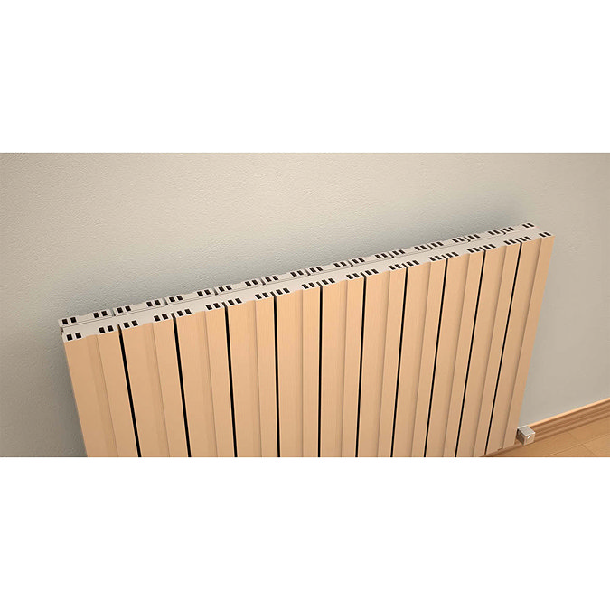 Reina Bova Horizontal Double Panel Aluminium Radiator - Polished Feature Large Image