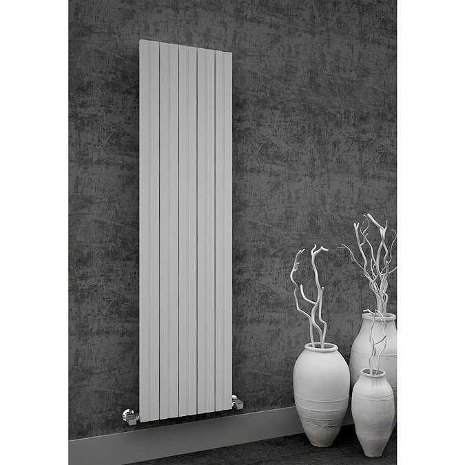 Reina Bova Vertical Double Panel Aluminium Radiator - Polished Profile Large Image