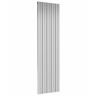 Reina Bova Vertical Double Panel Aluminium Radiator - Polished Profile Large Image
