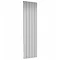 Reina Bova Vertical Single Panel Aluminium Radiator - Polished Large Image