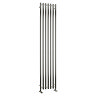 Reina Broni Stainless Steel Radiator - Polished Profile Large Image