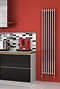 Reina Broni Stainless Steel Radiator - Polished Large Image