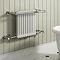 Reina Camden Traditional Towel Rail Radiator Large Image