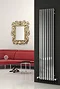 Reina Cascia Vertical Steel Designer Radiator - Chrome Large Image