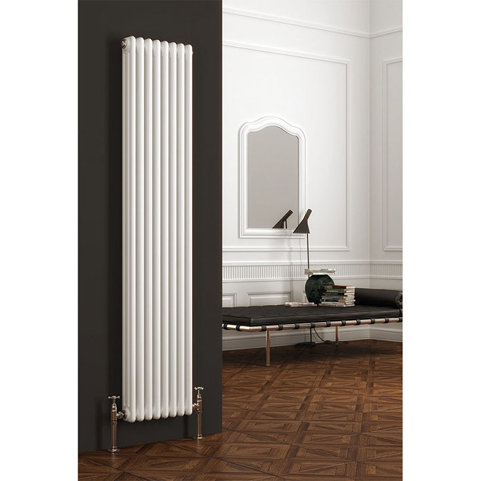 Reina Colona 2 Column Vertical Radiator - RAL Colour Options Large Image