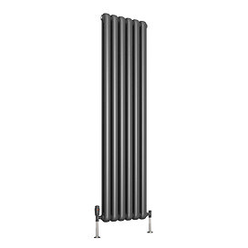 Reina Coneva Vertical Steel Designer Radiator - Anthracite Large Image