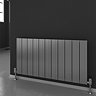 Reina Enzo Horizontal Aluminium Radiator - Black Profile Large Image