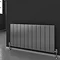 Reina Enzo Horizontal Aluminium Radiator - Polished Profile Large Image