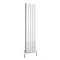 Reina Evie Vertical Aluminium Radiator - White Profile Large Image