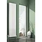 Reina Evie Vertical Aluminium Radiator - White Large Image