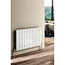 Reina Flat Horizontal Double Panel Designer Radiator - Anthracite Profile Large Image