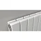 Reina Flat Horizontal Double Panel Designer Radiator - RAL Colour Options Profile Large Image