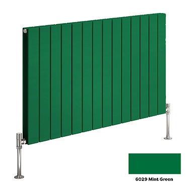 Reina Flat Horizontal Double Panel Designer Radiator - RAL Colour Options  Profile Large Image