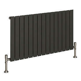 Reina Flat Horizontal Single Panel Designer Radiator - Anthracite Large Image