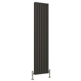 Reina Flat Vertical Double Panel Designer Radiator - Anthracite Large Image