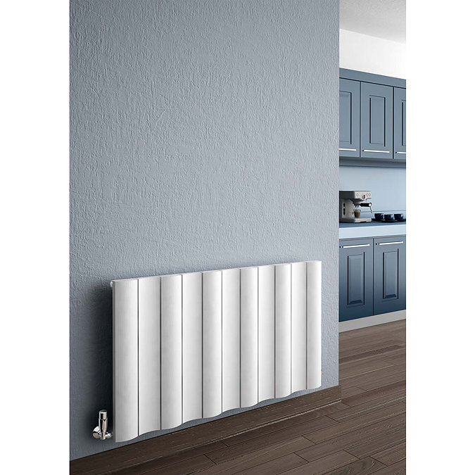 Reina Gio Horizontal Double Panel Aluminium Radiator - Polished Profile Large Image