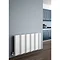 Reina Gio Horizontal Double Panel Aluminium Radiator - Polished Profile Large Image