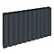 Reina Greco Horizontal Double Panel Aluminium Radiator - Anthracite Large Image