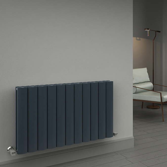 Reina Greco Horizontal Double Panel Aluminium Radiator - Polished Profile Large Image