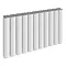 Reina Greco Horizontal Double Panel Aluminium Radiator - White Large Image