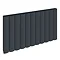 Reina Greco Horizontal Single Panel Aluminium Radiator - Anthracite Large Image