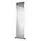 Reina Lavian Stainless Steel Radiator - Polished Profile Large Image