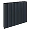 Reina Luca Horizontal Double Panel Aluminium Radiator - Anthracite Large Image